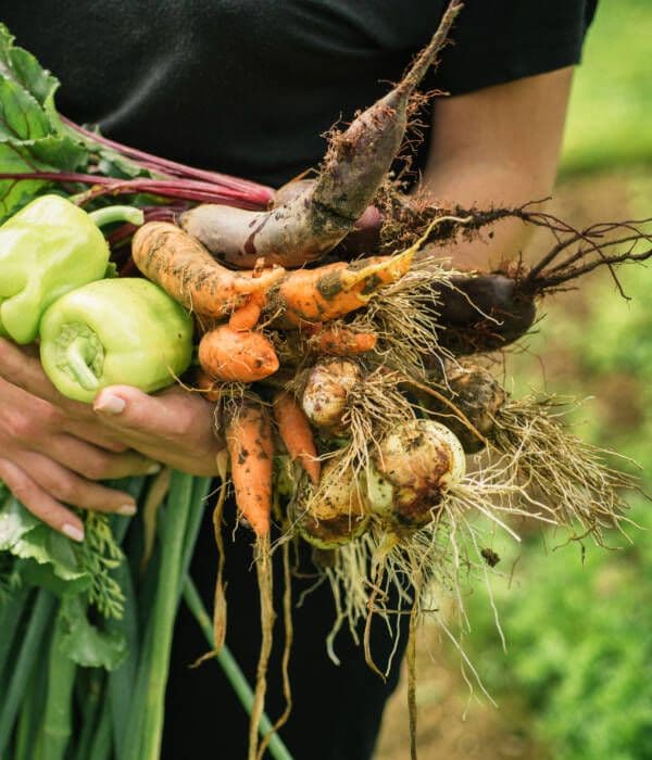 Wszystkie nasze warzywa i owoce